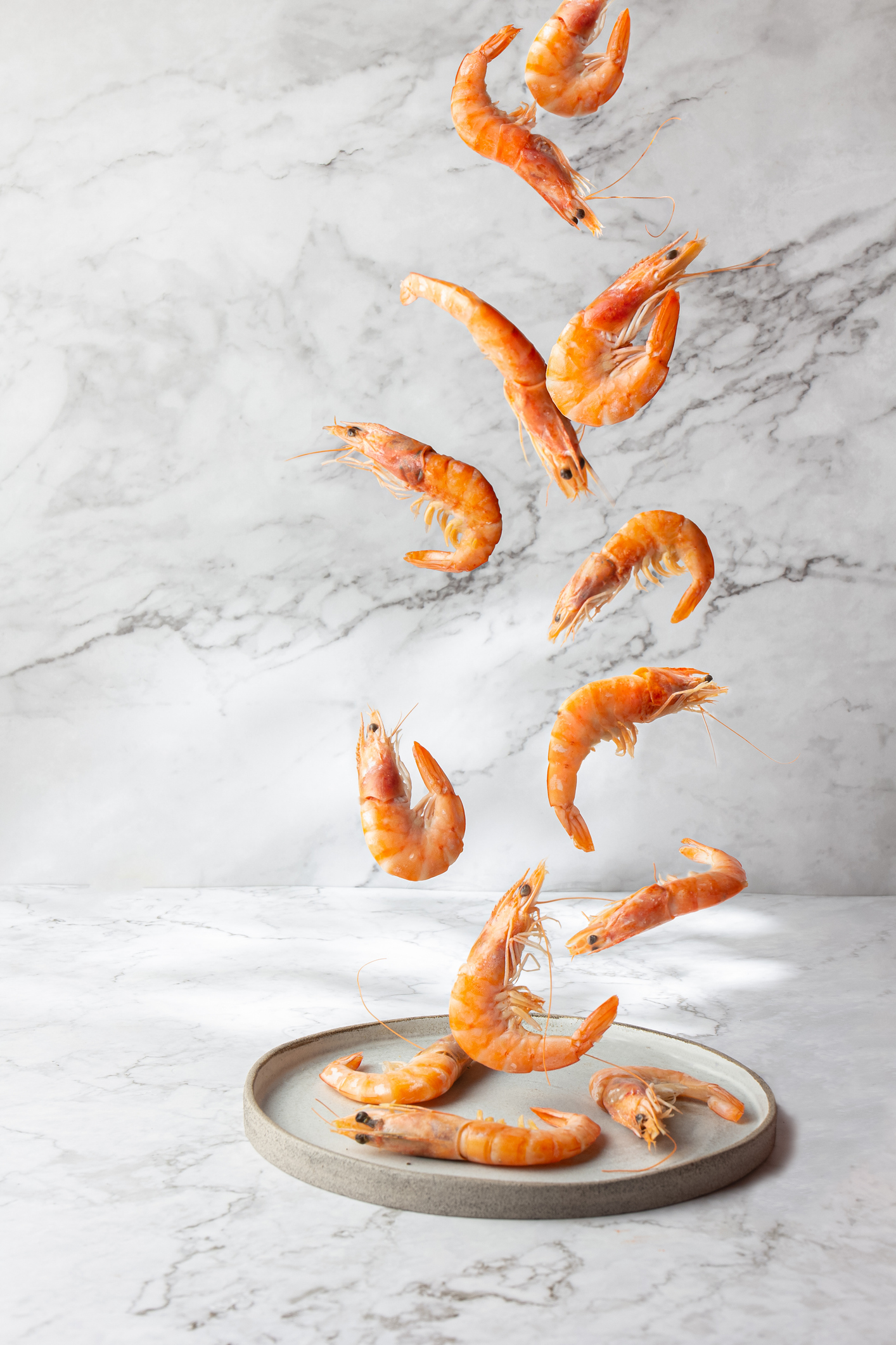 Prawns